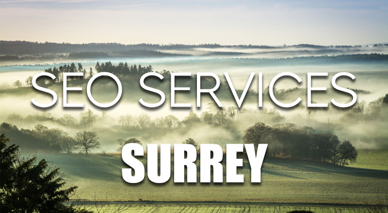 SEO Services Surrey